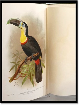 A Flying Trip to the Tropics: A Record of an Ornithological Visit to the United States of Colombia, South America and to the Island of Curacao, West Indies in the Year 1892