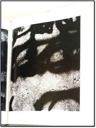 Places: Aaron Siskind Photographs
