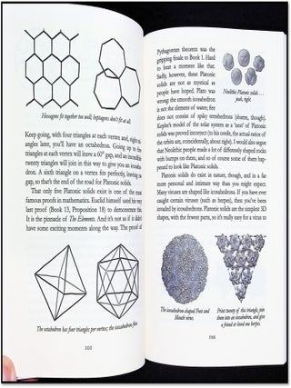 Things To Make And Do In The Fourth Dimension: A Mathematician's Journey Through Narcissistic Numbers, Optimal Dating Algorithms, At Least Two Kinds of Infinity, and More
