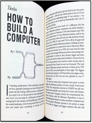 Things To Make And Do In The Fourth Dimension: A Mathematician's Journey Through Narcissistic Numbers, Optimal Dating Algorithms, At Least Two Kinds of Infinity, and More