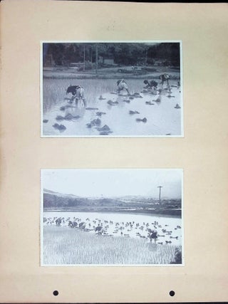 FIELD ALBUM OF WESTERN CHINA — YUNNAN–SICHUAN CORRIDOR, ca. 1928–1937
