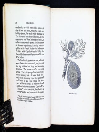 Pitcairn: The Island, the people, and the Pastor; with a Short Account of the Mutiny of the Bounty [South Seas Exploration]