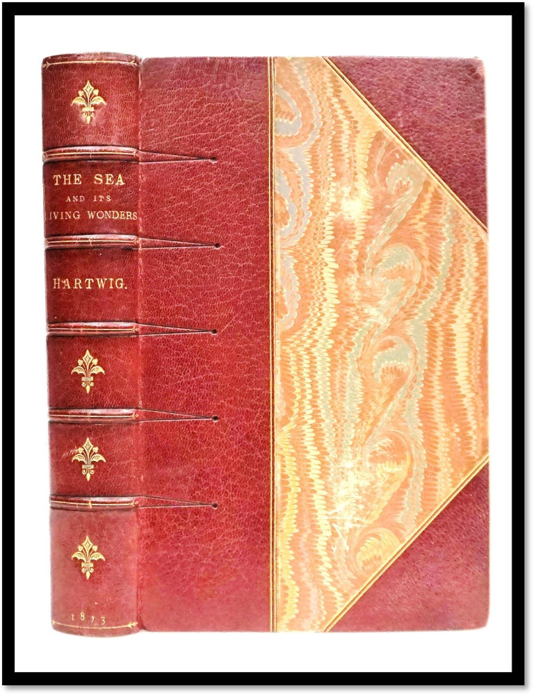 The Sea and Its Living Wonders a Popular Account of the Marvels of the Deep and of the Progress...