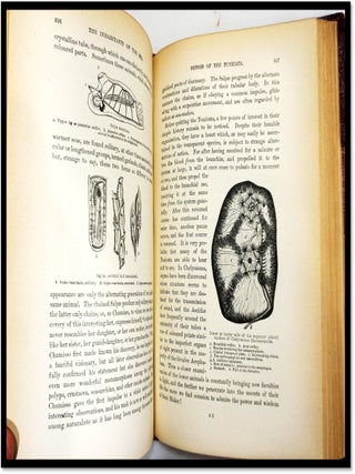 The Sea and Its Living Wonders a Popular Account of the Marvels of the Deep and of the Progress of Maritime Discovery from the Earliest Ages to the Present Time