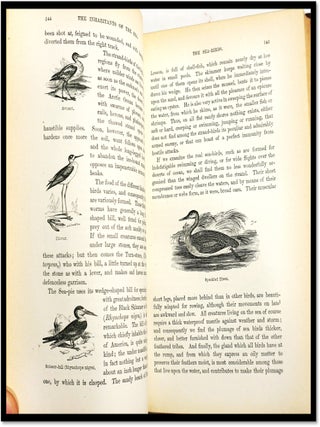 The Sea and Its Living Wonders a Popular Account of the Marvels of the Deep and of the Progress of Maritime Discovery from the Earliest Ages to the Present Time