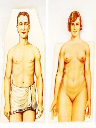Manikins for Modern Home Physicians [Original Male & Female Anatomical Sectional Models]