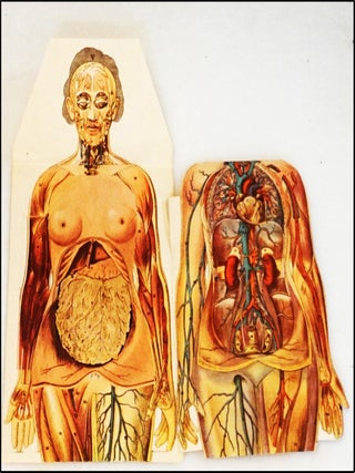 Manikins for Modern Home Physicians [Original Male & Female Anatomical Sectional Models]