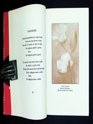 Lyrics from Cotton Land [Southern Poetry &mdash; Illustrated by A. B. Frost and E. W. Kemble]