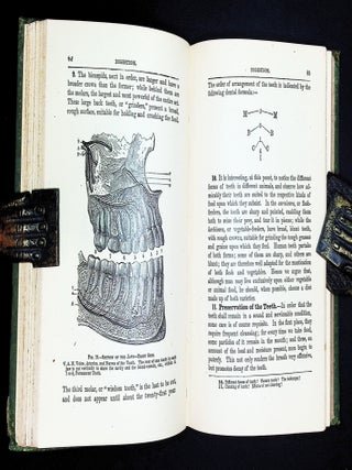 A Treatise on Physiology and Hygiene for Educational Institutions and General Readers [Victorian Health Education]