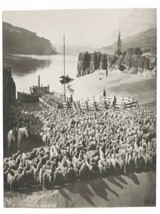 The Columbia at the Turn of the Century: Eighteen Original Photographs of the Columbia River, The Dalles, Cascade Locks, River Commerce, Fishing, Agriculture, and Landscape. [circa 1899&ndash;1908]