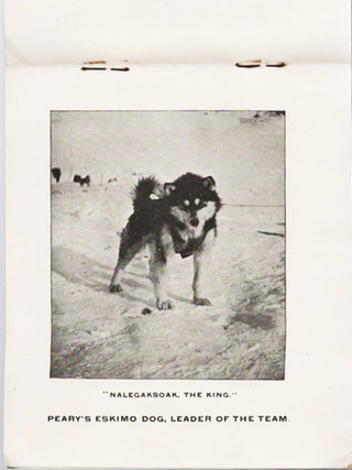 Souvenir of Peary's Second Arctic Expedition. Among the Arctic Ice Floes, June 1893 [Unrecorded Pre-Departure Photographic Ephemera]