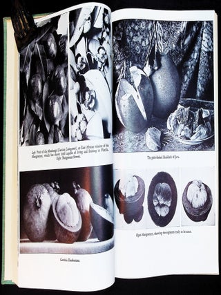 The World Was My Garden: Travels of a Plant Explorer [With Marian Fairchild Letter & Related Ephemera]