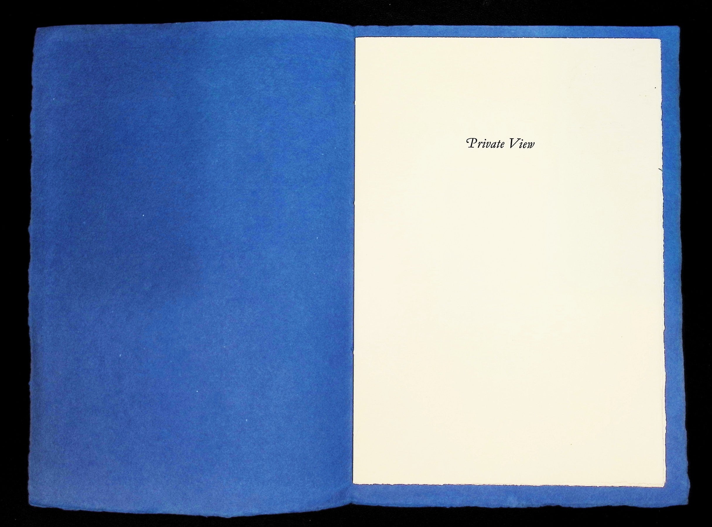 Private View Signed by Simon Brett — Rocket Press — One of 230