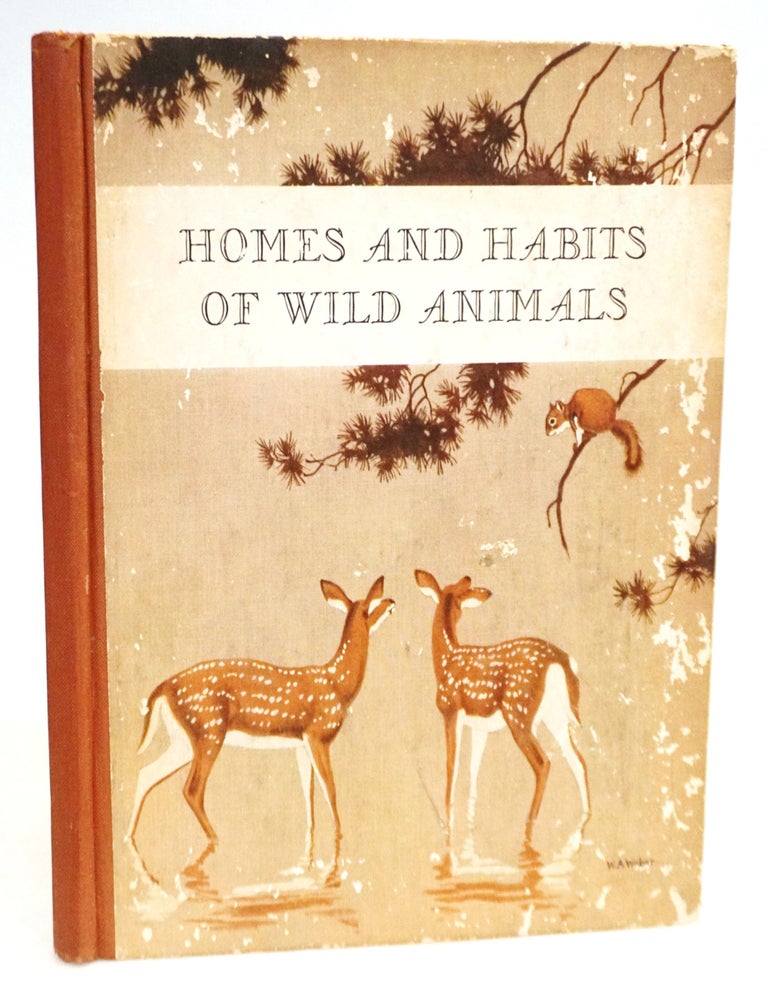 Homes and Habits of Wild Animals: North American Mammals