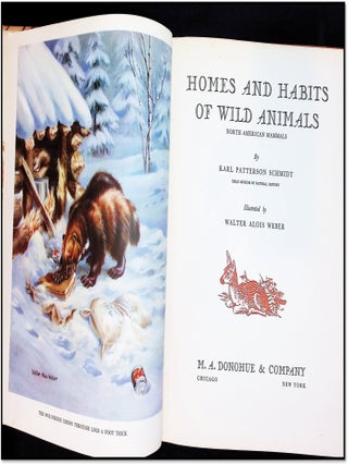 Homes and Habits of Wild Animals: North American Mammals