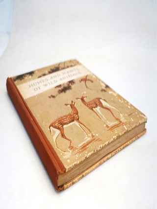 Homes and Habits of Wild Animals: North American Mammals
