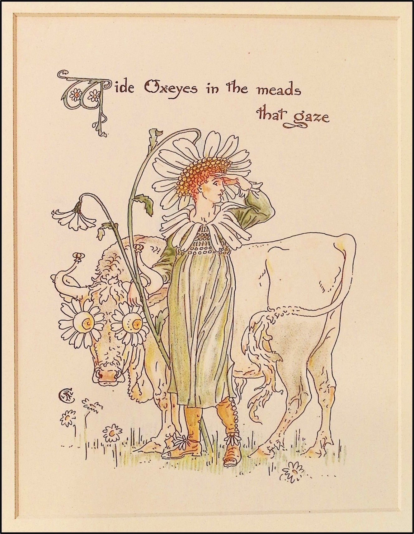 Flora's Feast: A Masque of Flowers: OXEYES Original