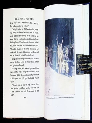 The Blue Flower [Margaret Armstrong Binding] [First Edition, First Printing]